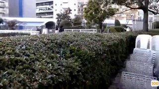 1.76 一区⭕❌欧美精品A片XXX⭕❌欧美性猛交XXXX乱大交极品-无码av电影在线观看不卡